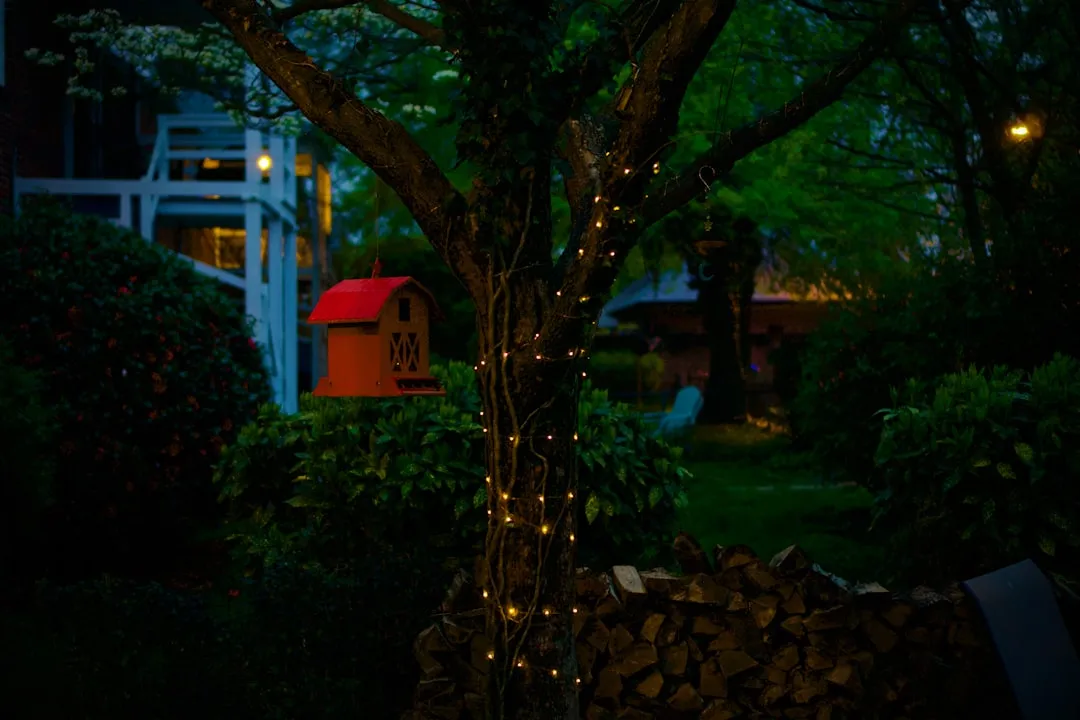 a tree with a bunch of lights on it