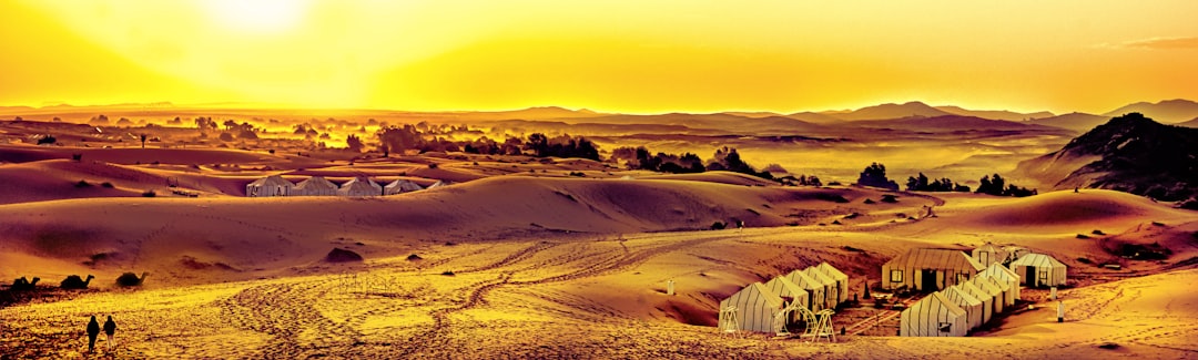 A CEO-ready board meeting preparation checklist: D‑21 timeline, D‑7 packet, prewire D‑3, 90‑minute decision agenda, and action tracking.