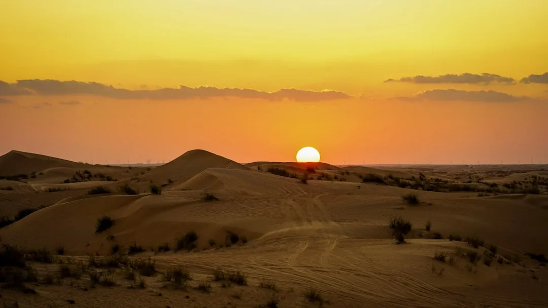 The sun is setting over a desert landscape
