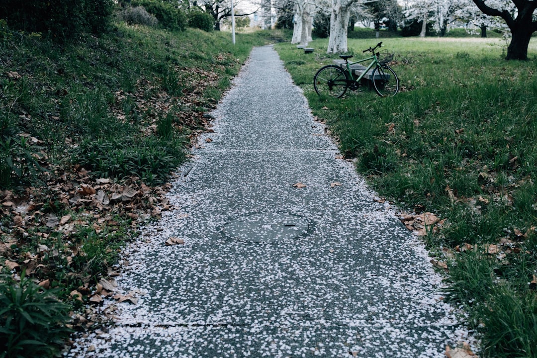 Use this decision-first board of directors agenda example to run 60-minute meetings that produce commitments, not slides. Includes templates and pre-read rules.