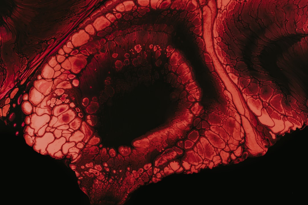 A practical 10‑hour corporate governance audit to make your startup investor‑ready—portal‑first, repeatable, and done in two mornings.