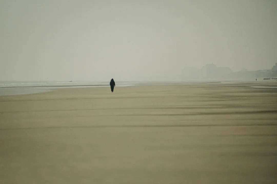 black bird flying over the sea during daytime