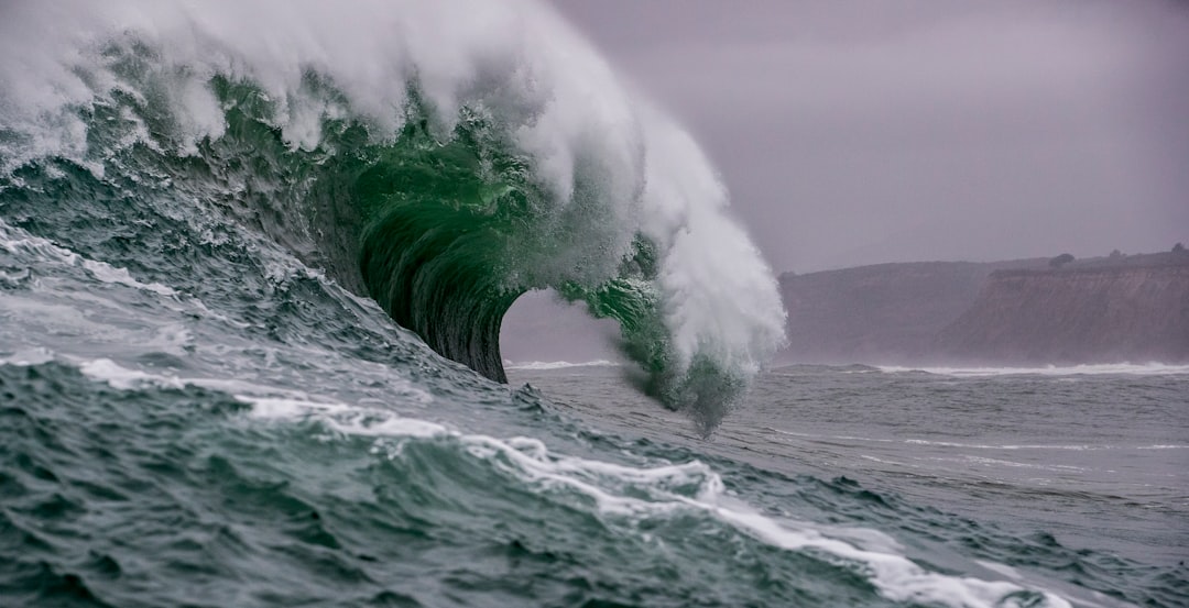 Board Meeting Management for Investors: CEO Playbook