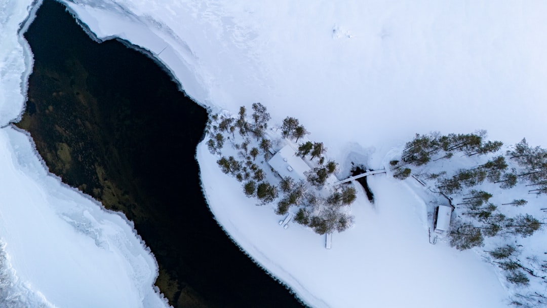 D&O Insurance for Nonprofits: Essential Coverage Guide