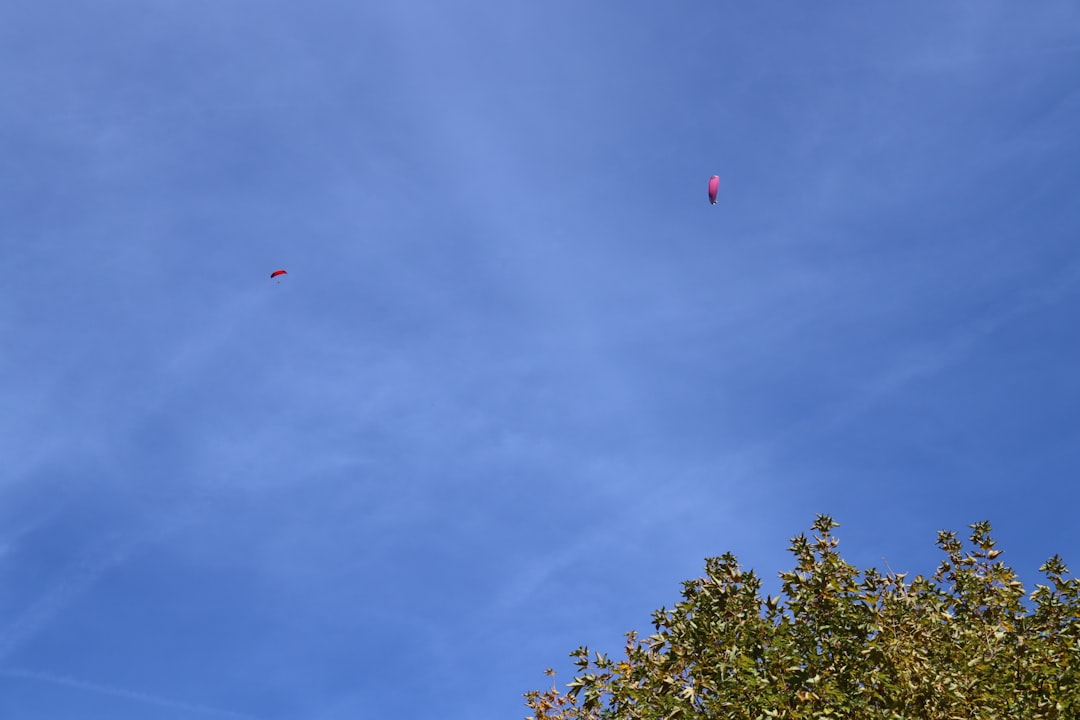 Selling D&O Insurance: A Board Approval Roadmap