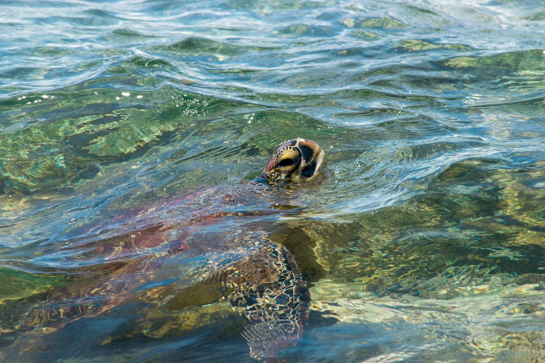 Turn secretary meeting minutes into a 72‑hour decision log that speeds deals and passes diligence for startup boards.