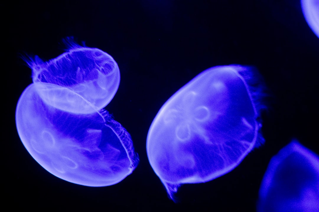 Build a lean board OS: essential startup governance tools, SLAs, and a 30-60-90 rollout to cut prep time, speed consents, and pass diligence.