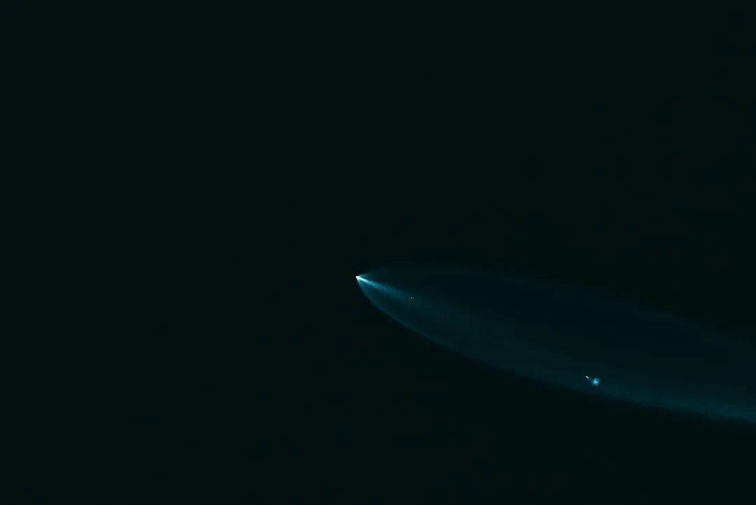 A surfboard is floating in the dark water